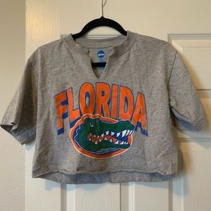 University of Florida gators grey crop top